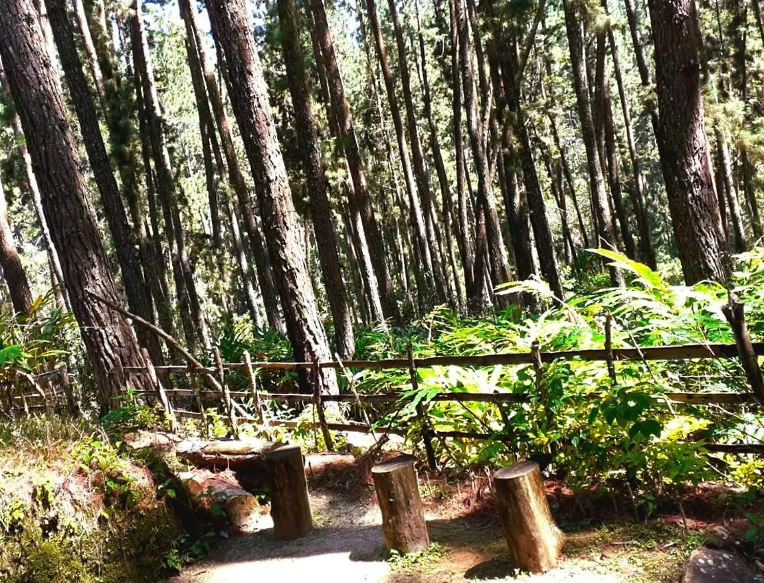 Green Shade Resort & Haritha Sewana Hotel Sri Lanka