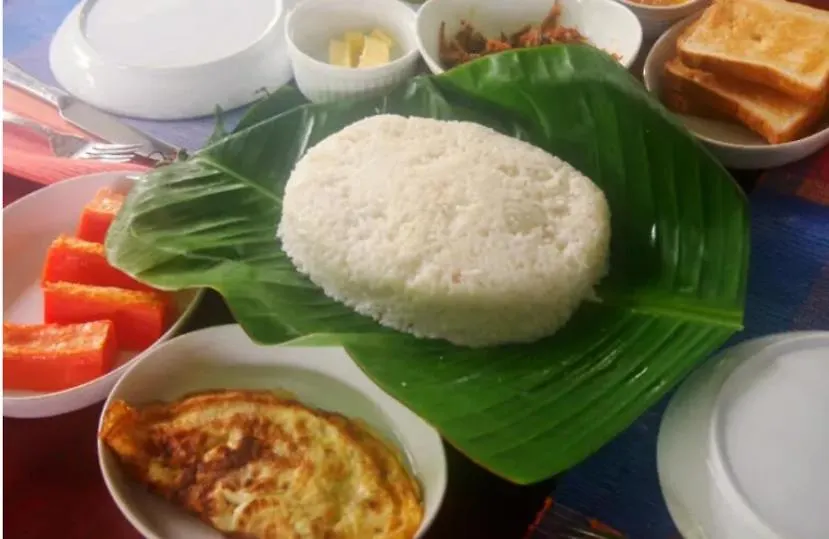 Green Shade Resort & Haritha Sewana Hotel Guest house Nallathanniya